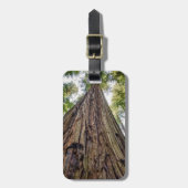 Roosevelt Gepäckanhänger (Vorderseite vertikal)