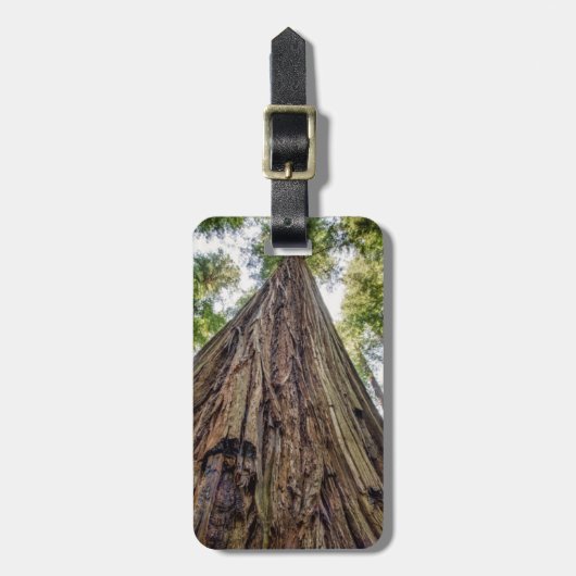 Roosevelt Gepäckanhänger (Vorderseite vertikal)