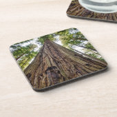 Roosevelt Getränkeuntersetzer (Linke Seite)