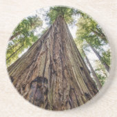 Roosevelt Getränkeuntersetzer (Vorne)