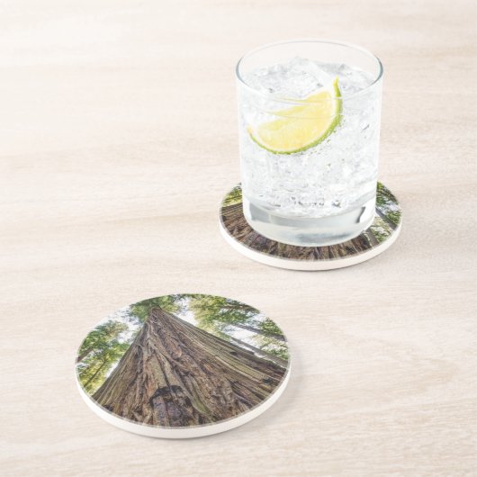 Roosevelt Getränkeuntersetzer (Seite)