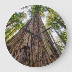 Roosevelt Große Wanduhr