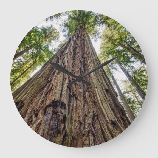 Roosevelt Große Wanduhr (Vorderseite)