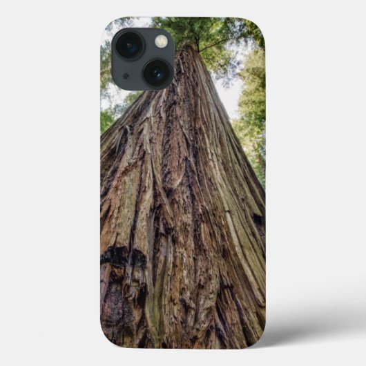 Roosevelt Grove Case-Mate iPhone Hülle (Rückseite)
