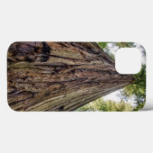 Roosevelt Grove Case-Mate iPhone Hülle (Rückseite (Horizontal))