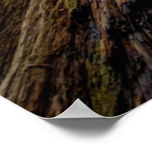 Roosevelt Grove Poster (Ecke)