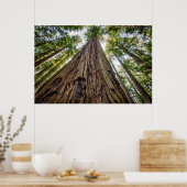 Roosevelt Grove Poster (Küche)