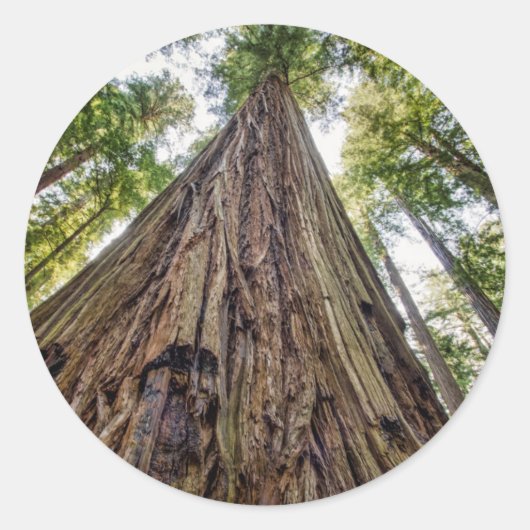 Roosevelt Grove Runder Aufkleber (Vorderseite)