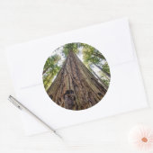 Roosevelt Grove Runder Aufkleber (Umschlag)