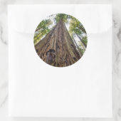 Roosevelt Grove Runder Aufkleber (Tasche)