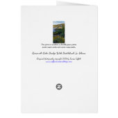 Roosevelt Lake Bridge Arizona Gelbe Wildblumen (Hinten)