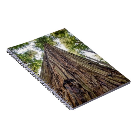 Roosevelt Notizblock (Rechte Seite)