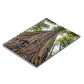 Roosevelt Notizblock (Linke Seite)