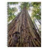 Roosevelt Notizblock (Vorderseite)