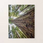 Roosevelt Puzzle (Vertikal)