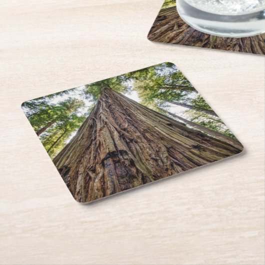 Roosevelt Rechteckiger Pappuntersetzer (angewinkelt)