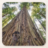 Roosevelt Rechteckiger Pappuntersetzer (Vorderseite)