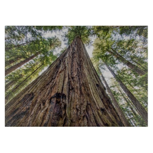 Roosevelt Schneidebrett (Vorderseite)