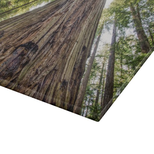 Roosevelt Schneidebrett (Ecke)