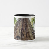 Roosevelt Tasse (Zentrum)