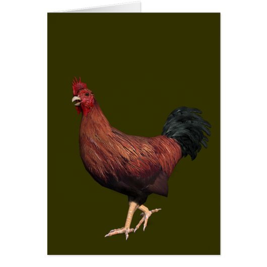 Rooster (Vorne)