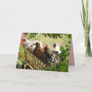 Rooster and Chickens Chook Farm Country Card Karte