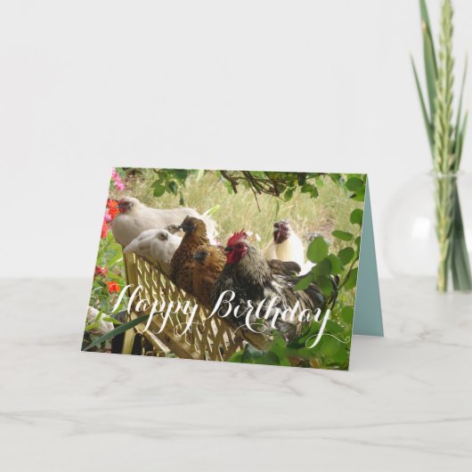 Rooster and Chickens Chook Farm Country Card Karte (Vorderseite)