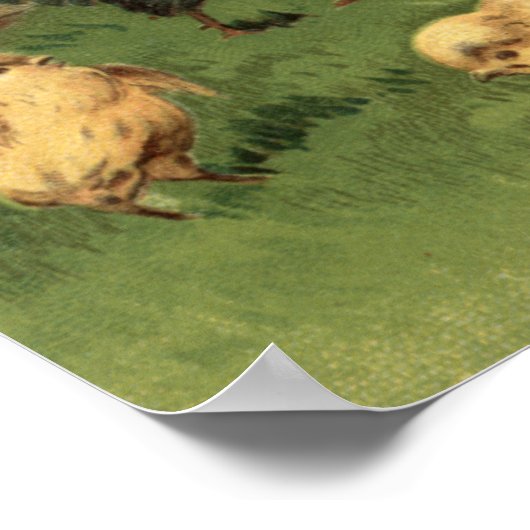 Rooster and Chicks Poster (Ecke)