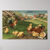 Rooster and Chicks Poster (Vorne)