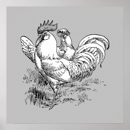 Rooster and Hen - Archivdruck Poster (Vorne)