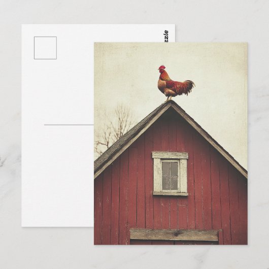 Rooster auf dem Dach Postkarte (Vorne/Hinten)