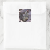 Rooster-Aufkleber Quadratischer Aufkleber (Tasche)