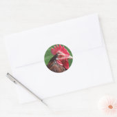 Rooster-Aufkleber Runder Aufkleber (Umschlag)