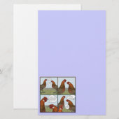 Rooster Bait Briefpapier (Vorne/Hinten)