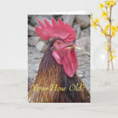 Rooster Birthday Card Karte (Gelbe Blume)