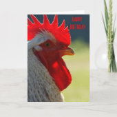 Rooster Birthday Card Karte (Vorderseite)