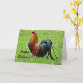 Rooster Birthday Karte (Gelbe Blume)