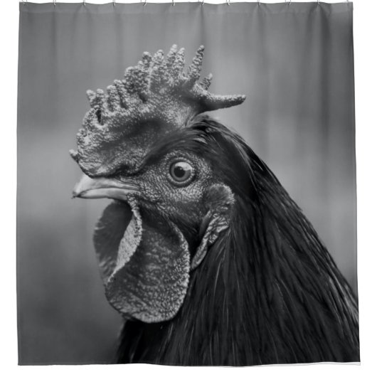Rooster Black and White Duschvorhang (Vorderseite)