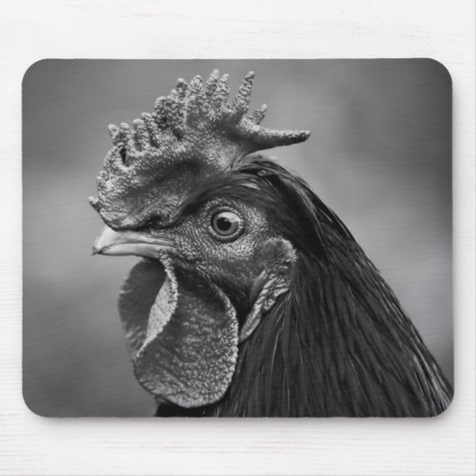 Rooster Black and White Mousepad (Vorne)