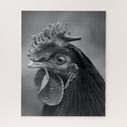Rooster Black and White Puzzle (Vertikal)