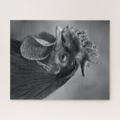 Rooster Black and White Puzzle (Horizontal)