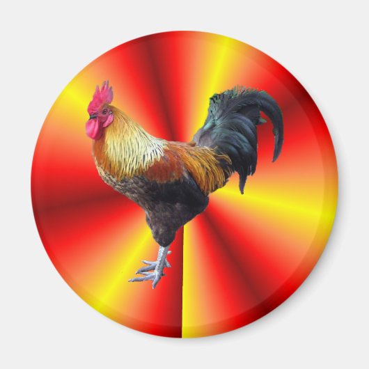 Rooster-Blitz Magnet (Vorne)