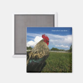Rooster-Bob Irgendwo da draußen Magnet (Vorderseite/Rückseite)