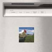 Rooster-Bob Irgendwo da draußen Magnet (In Situ (Geschirrspüler))