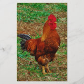 Rooster Briefpapier (Vorderseite)