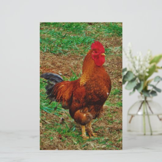 Rooster Briefpapier (Stehend Vorderseite)