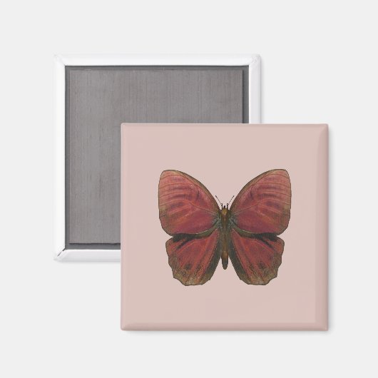 Rooster Butterfly Magnet (Vorderseite/Rückseite)