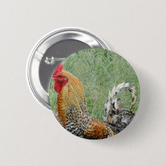 Rooster Button (Vorne & Hinten)
