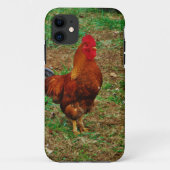 Rooster Case-Mate iPhone Hülle (Rückseite)