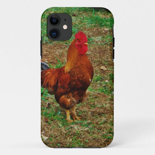 Rooster Case-Mate iPhone Hülle (Rückseite)